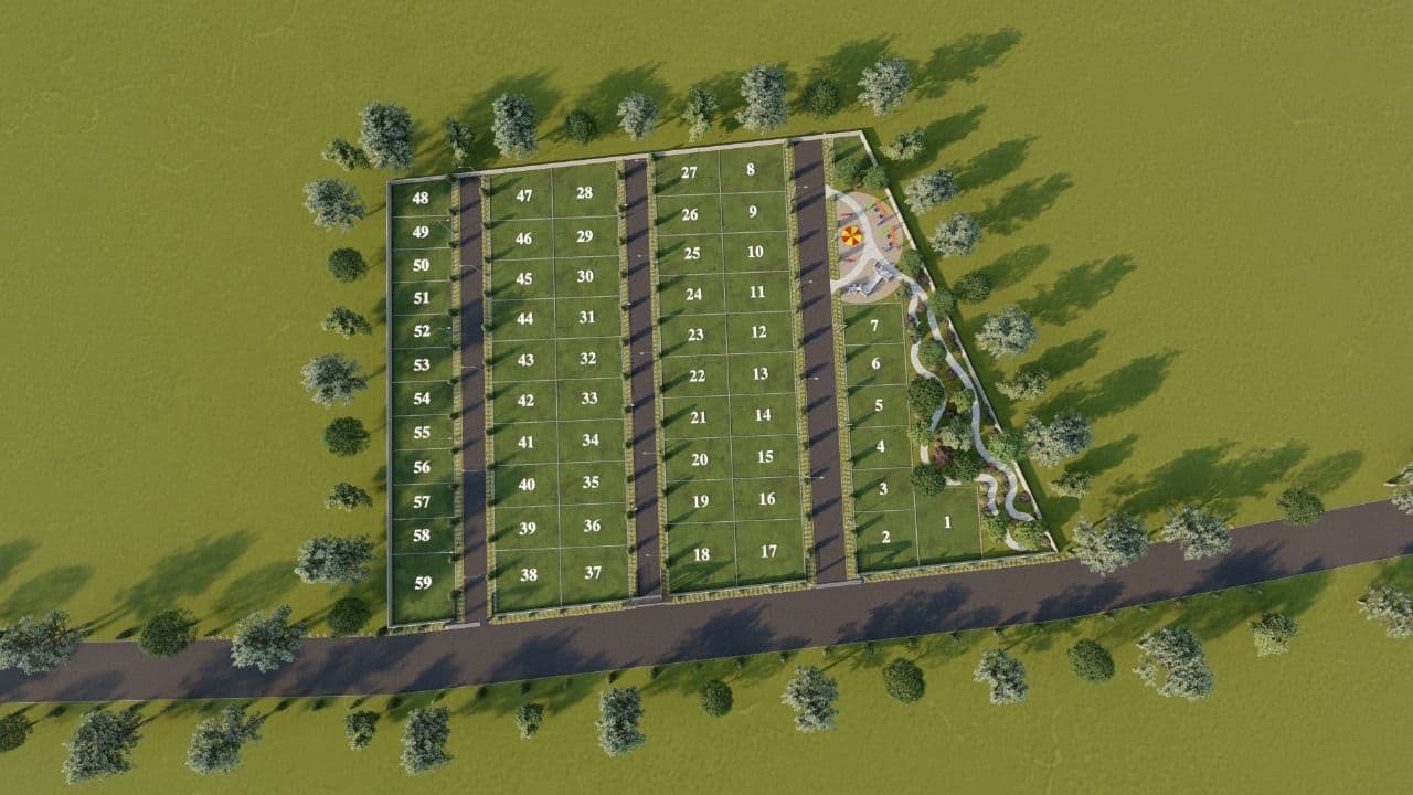 Project Gallery Image